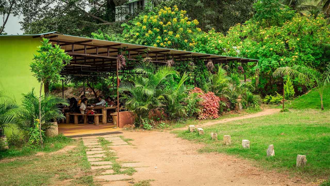 Wild Valley Adventure Retreat