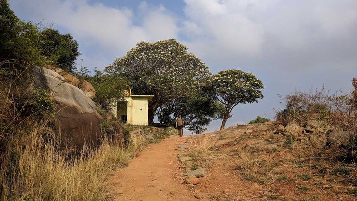 Turahalli Forest
